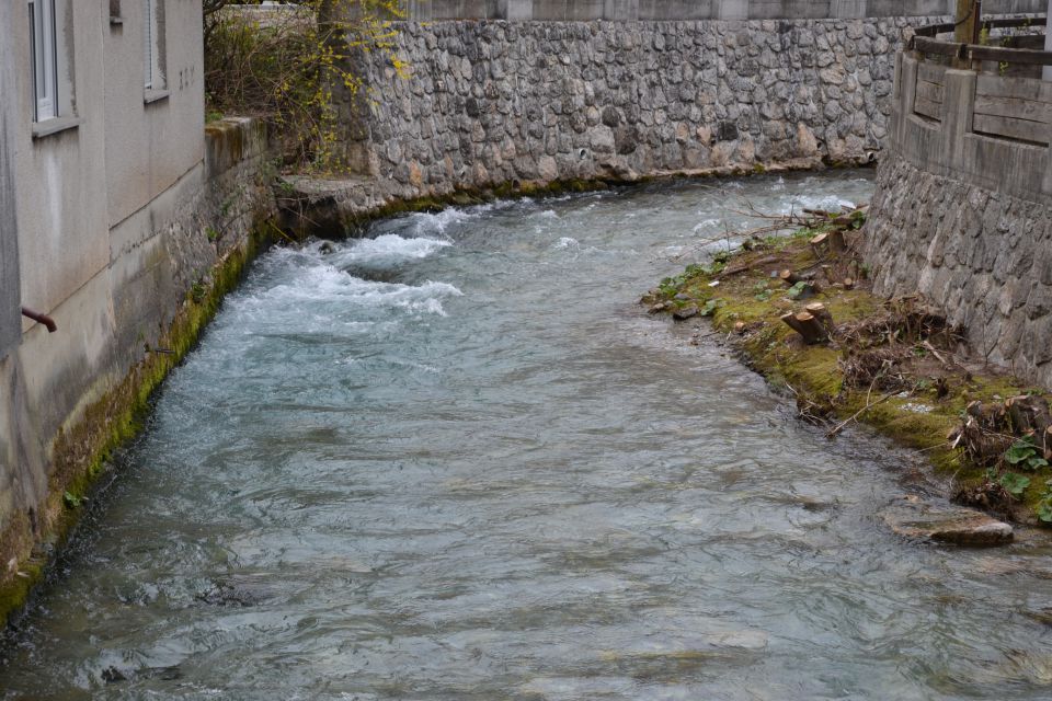 Tržič - foto povečava