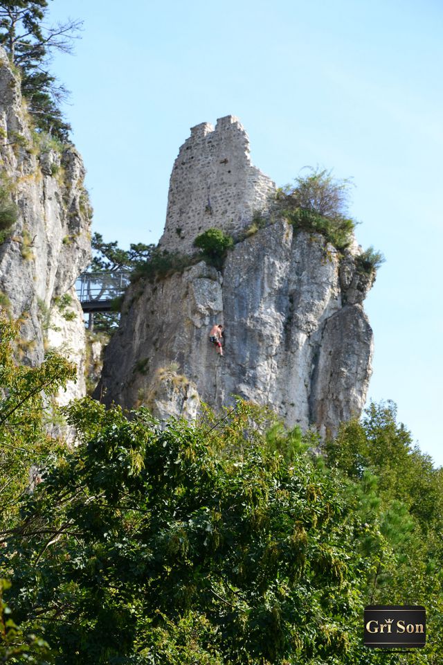 Dekani in široka okolica - foto povečava