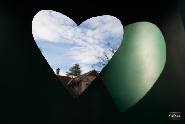 Dekani in široka okolica - foto