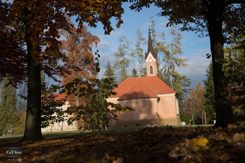 Dekani in široka okolica - foto povečava