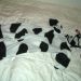 Pustni kostim kravica za 9-12 mesecev, 10€