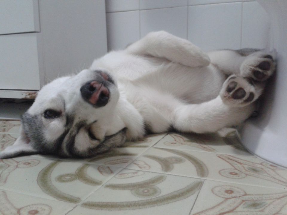 Freya - foto povečava
