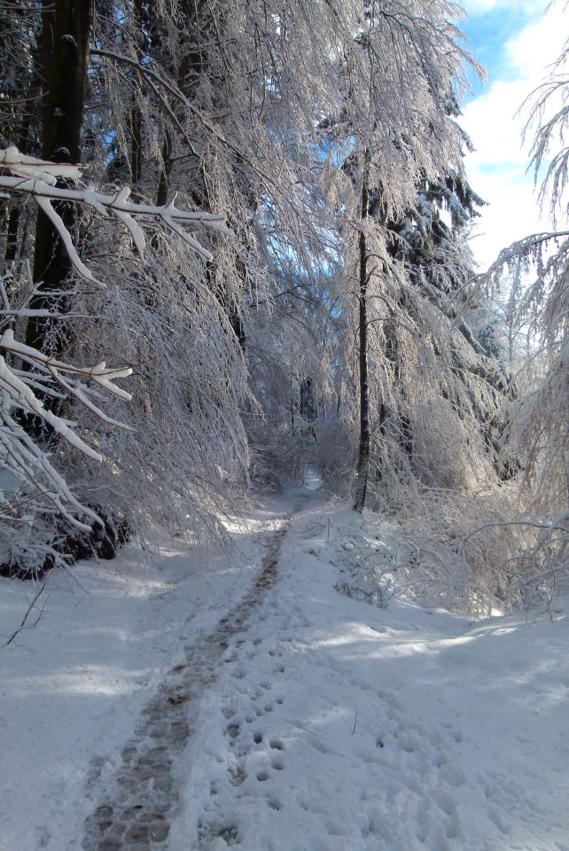 Januar 2013 - foto povečava