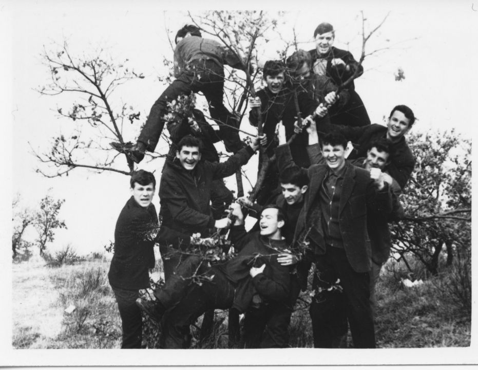 SOŠOLCCI 02 - foto povečava