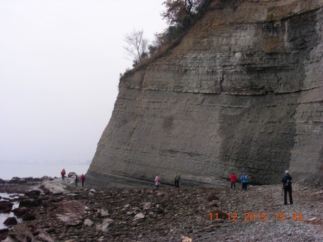 Flišna stena