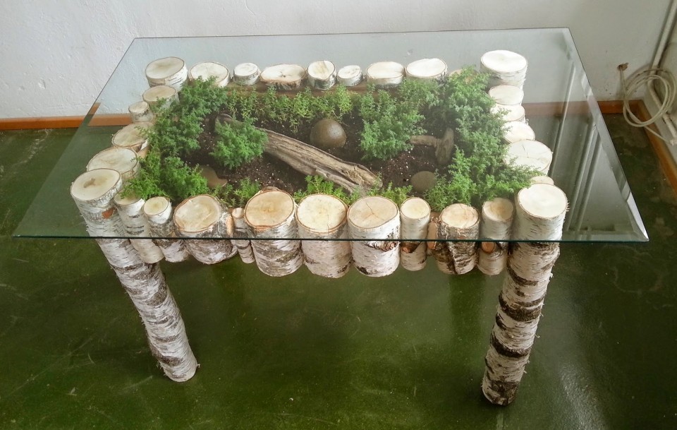 Miza z vrtičkom - foto povečava