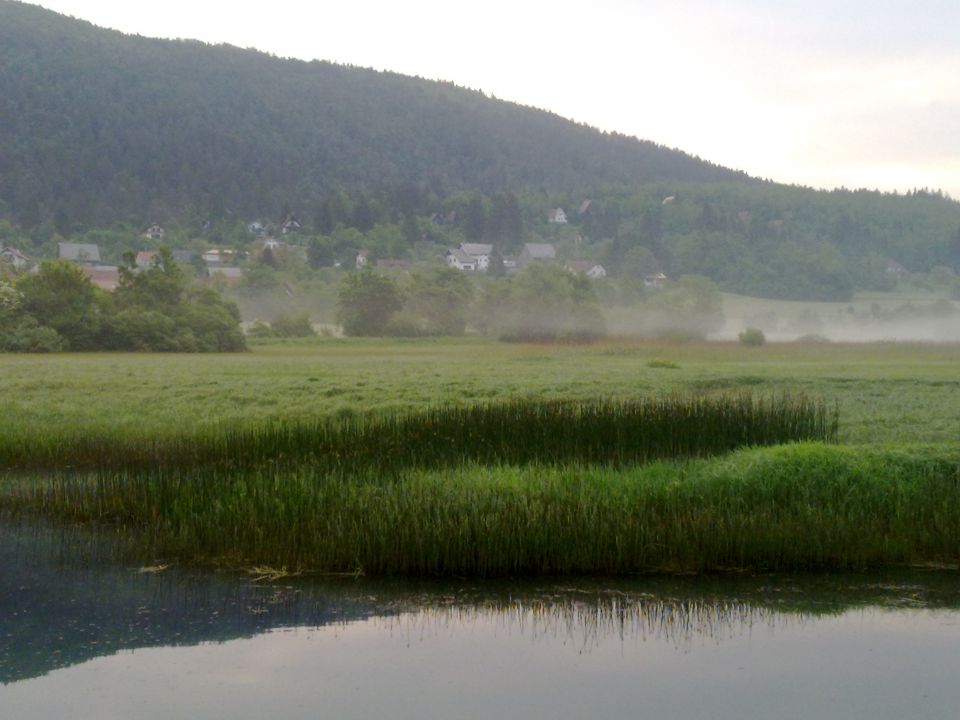 Narava in živali na Cerkniškem jezeru - foto povečava