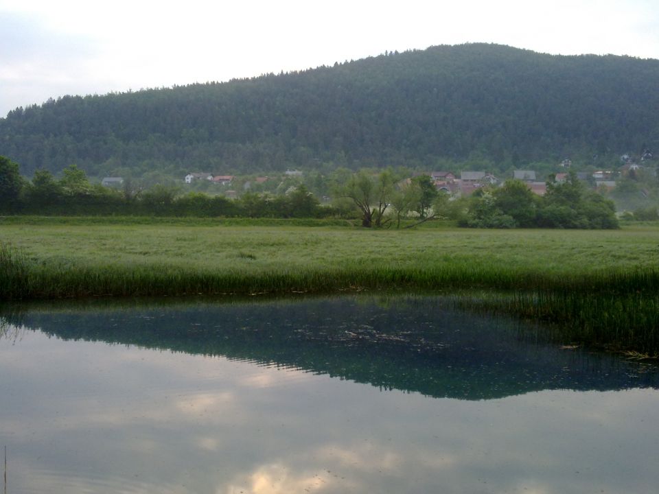 Narava in živali na Cerkniškem jezeru - foto povečava