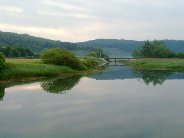 Narava in živali na Cerkniškem jezeru - foto