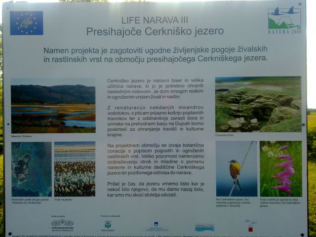 Narava in živali na Cerkniškem jezeru - foto