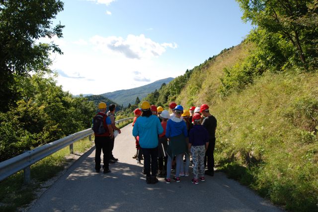 ŠOLA V NARAVI-KAVKA 2015 - foto