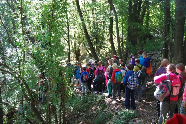 ŠOLA V NARAVI-KAVKA 2015_2.dan - foto