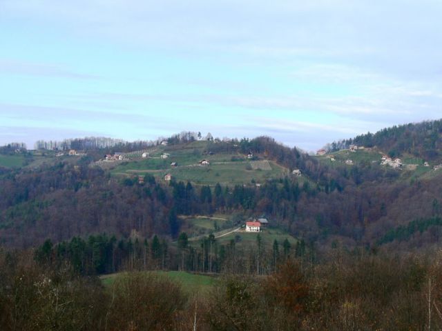 Naše vinske gorice - foto