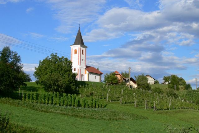 Naše vinske gorice - foto