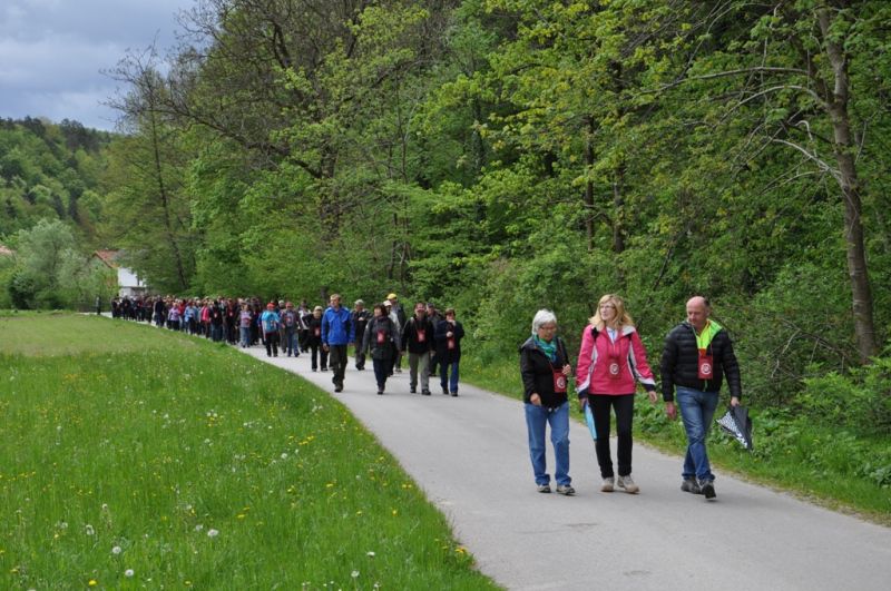 16. pohod po vinskih goricah - foto povečava