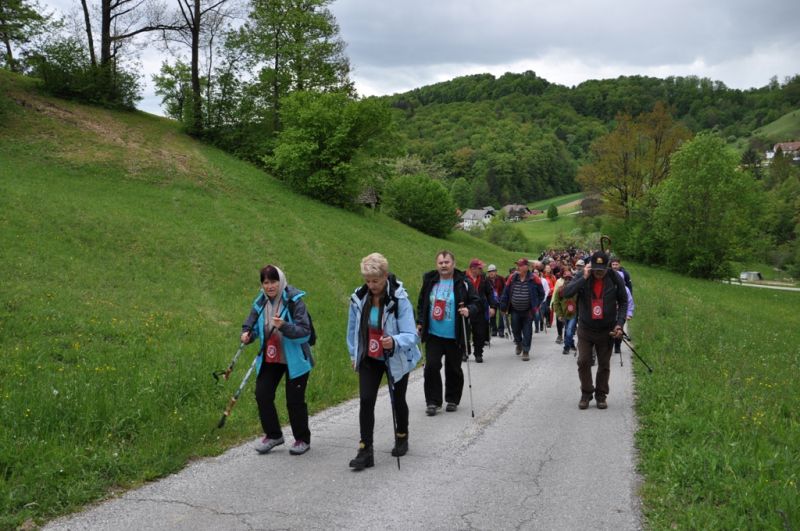 16. pohod po vinskih goricah - foto povečava