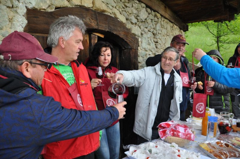 16. pohod po vinskih goricah - foto povečava