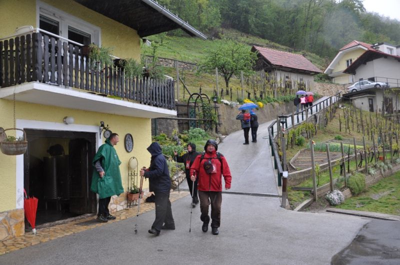 16. pohod po vinskih goricah - foto povečava