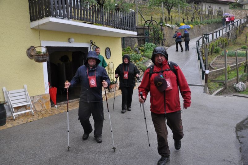 16. pohod po vinskih goricah - foto povečava