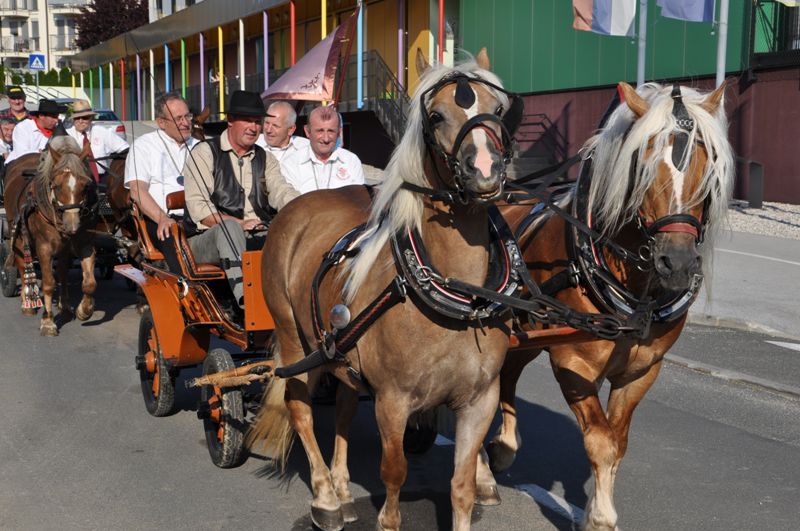 Otvoritev 44. Tedna cvička - foto povečava