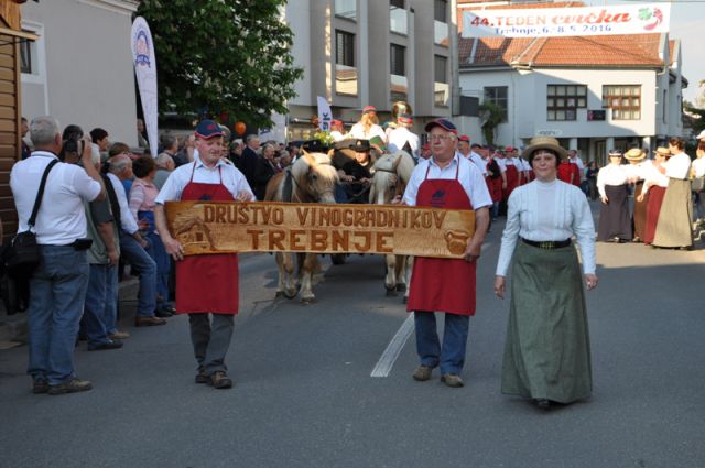 Otvoritev 44. Tedna cvička - foto