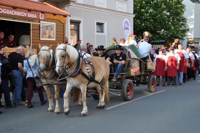 Otvoritev 44. Tedna cvička - foto