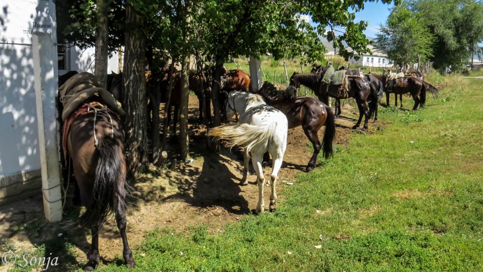 2016 KIRGIZIJA - treking s konji - foto povečava