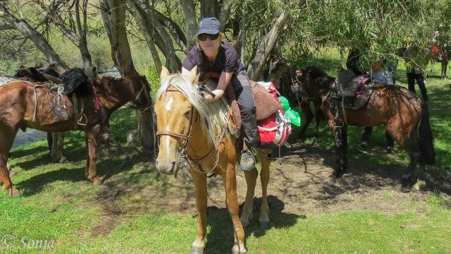 2016 KIRGIZIJA - treking s konji - foto