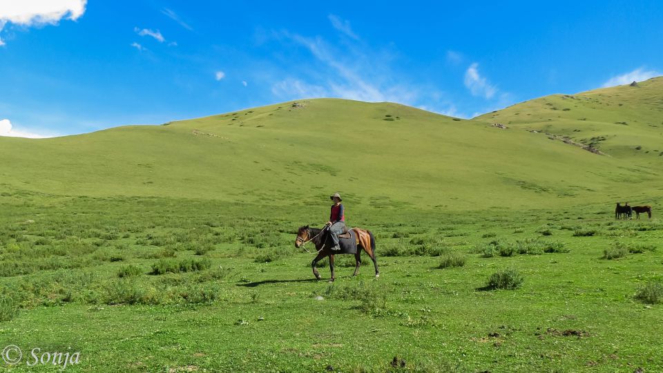 2016 KIRGIZIJA - treking s konji - foto povečava