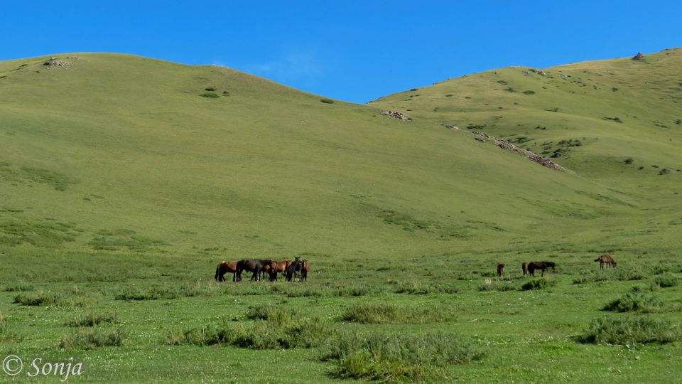 2016 KIRGIZIJA - treking s konji - foto povečava