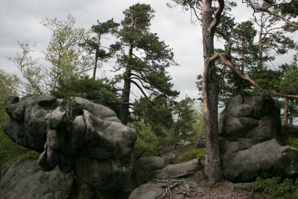 2017 pOLJSKA - Narodni park Stolowych - foto povečava