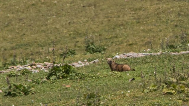 2016 kirgizija - treking  ala-kul - foto