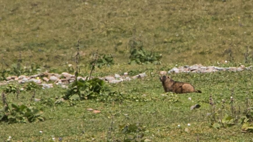 2016 kirgizija - treking  ala-kul - foto povečava