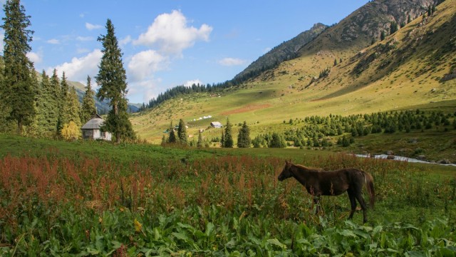 2016 kirgizija - treking  ala-kul - foto