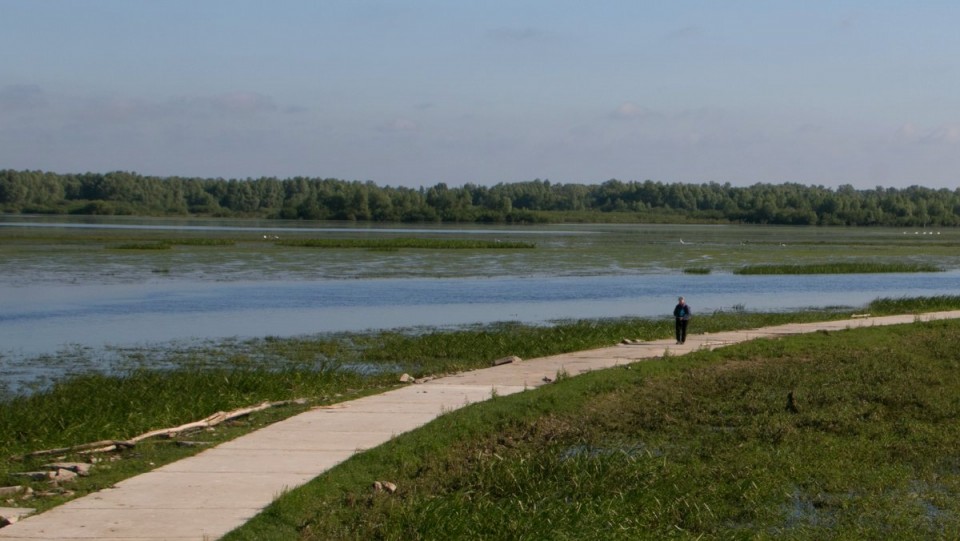 2017 POLJSKA - Narodni park ujscije warty - foto povečava