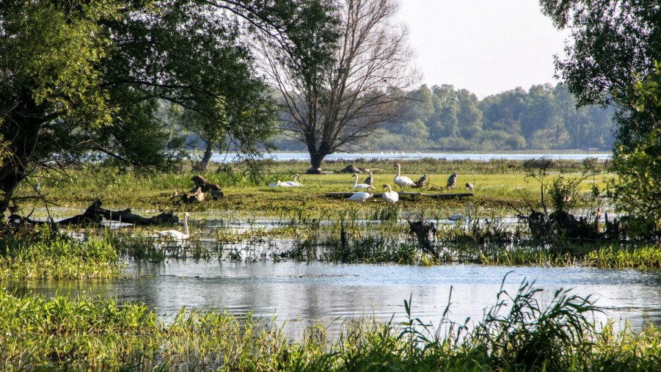 2017 POLJSKA - Narodni park ujscije warty - foto povečava