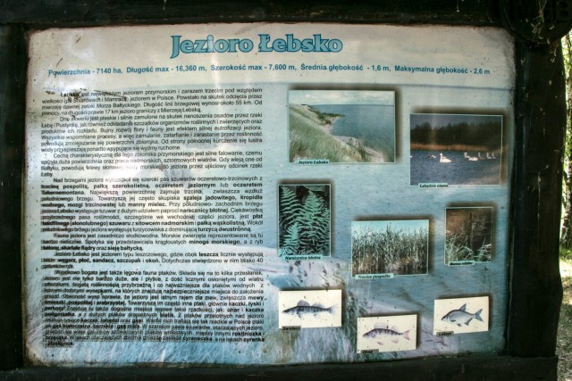 POLJSKA - Slowinski narodni park - foto
