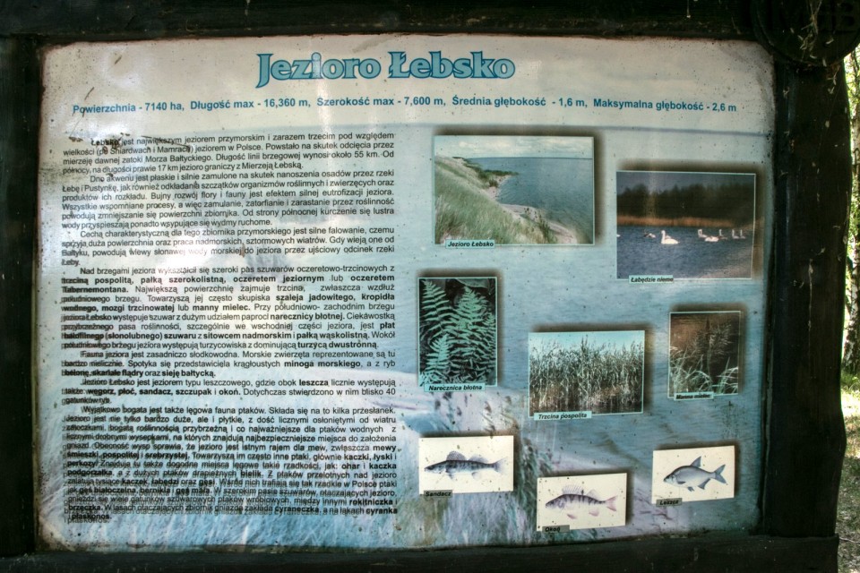 POLJSKA - Slowinski narodni park - foto povečava