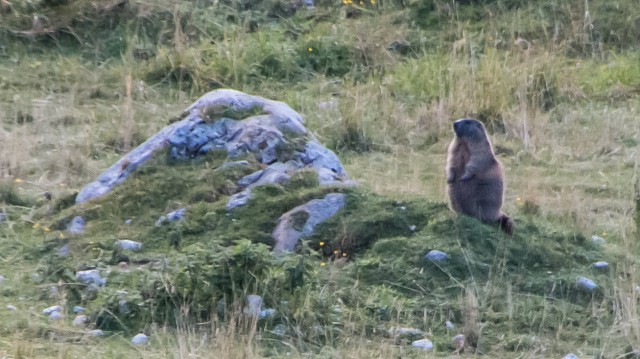 Pecol,  Špik - Hude police, Rabeljsko jezero - foto