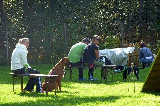 Horjudlmojpes piknik 2017 - foto