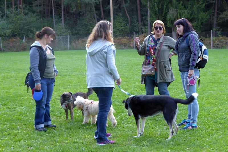 Horjudlmojpes piknik 2017 - foto povečava