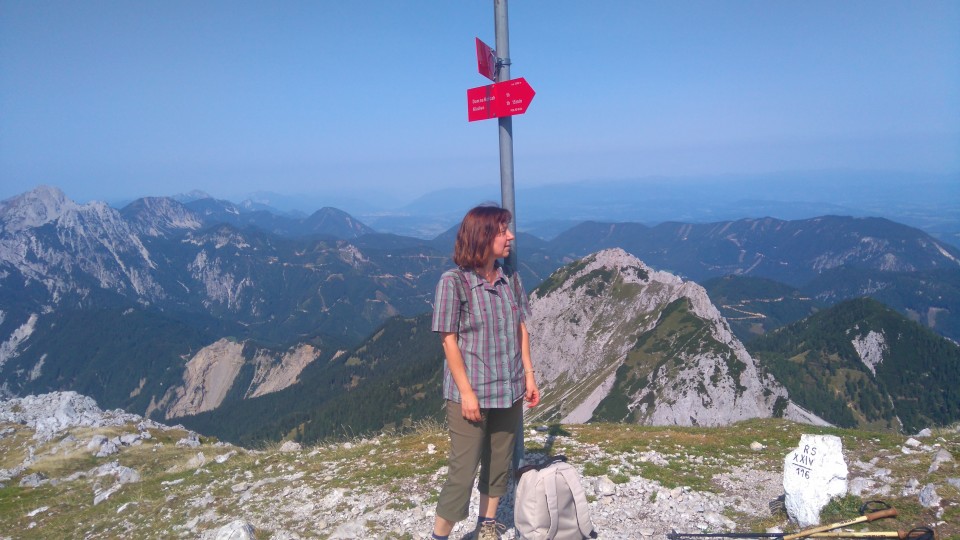 Veliki vrh (Košuta) poletje 2017 - foto povečava