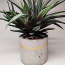 Cementni lonček za rastline (planter)