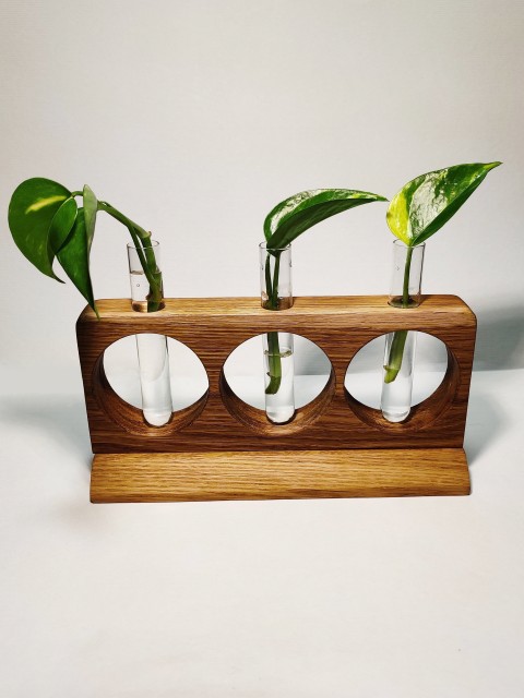 Unikatno leseno stojalo za vzgojo rastlin  - foto