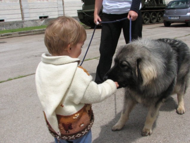 Srečanje na krasu 2008 - foto