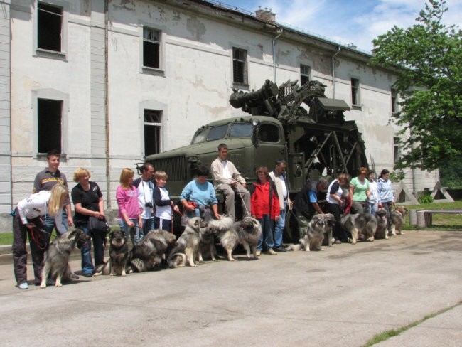 Srečanje na krasu 2008 - foto povečava