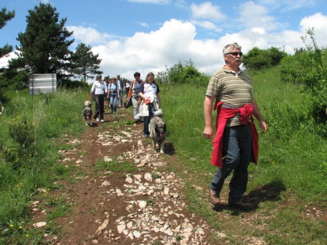 Srečanje na krasu 2008 - foto povečava