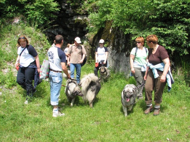 Srečanje na krasu 2008 - foto povečava