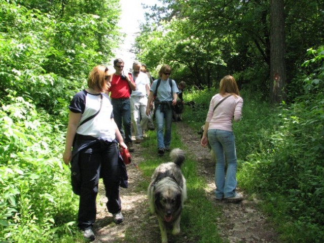 Srečanje na krasu 2008 - foto