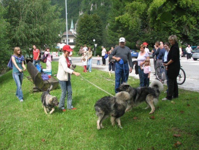 Predstavitev Kraševcev v Črni na Koroškem